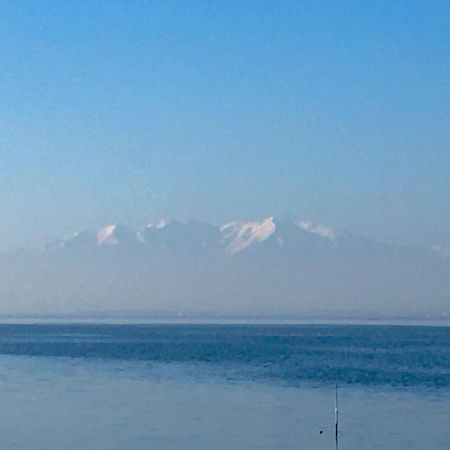 Bella Vista ,Acces Direct Plage, Front De Mer, Vue Mer Panoramique 르발카레스 외부 사진