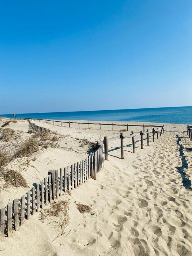 Bella Vista ,Acces Direct Plage, Front De Mer, Vue Mer Panoramique 르발카레스 외부 사진